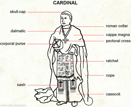 Cardinal  (Visual Dictionary)